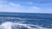 Whale Tail GIF