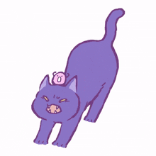 cat kitty purple cute sulk