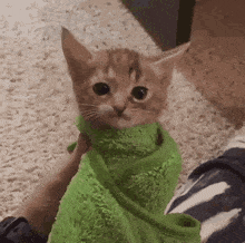 GIF