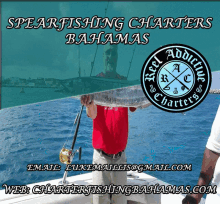 Spearfishing Charters Bahamas Deep Sea Fishing Bahamas GIF