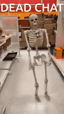 Skeleton Dead Chat GIF