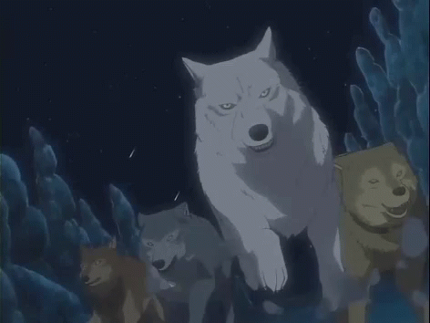 breaking dawn wolf pack as wolves