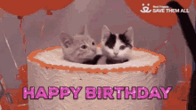 Happy Birthday Cake GIF - Happy Birthday Cake Cats GIFs