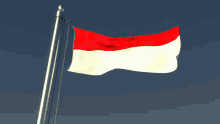Indonesia Flag GIF - Indonesia Flag GIFs