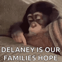 a chimpanzee is laying on a bed and pointing at something with the words `` delaney is our families hope '' .