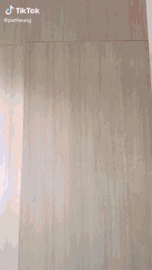 a woman is dancing in front of a wooden wall .