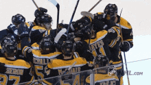 Boston Bruins Hockey GIF - Boston Bruins Hockey Nhl GIFs