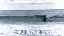 Slow Motion Surfing GIF