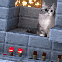 a cat sitting on a shelf in a minecraft game