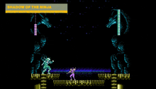 a video game called shadow of the ninja shows a ninja fighting another ninja
