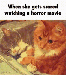 movie scared