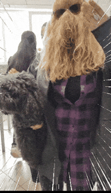 a woman in a plaid shirt is holding a dog