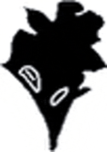 a black and white silhouette of a leaf with a white outline .