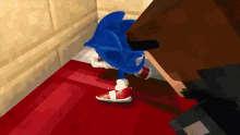Hey You Cant Just Sonic GIF