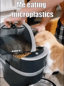 Microplastics Me Eating Microplastics GIF - Microplastics Me Eating Microplastics Me Eating GIFs
