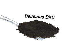 Dirt Delicious GIF - Dirt Delicious Spoon GIFs