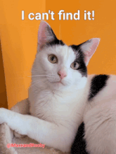 a black and white cat with the words i can 't find it below it