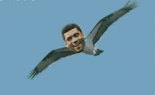 Seahawks Russellwilson GIF - Seahawks Russellwilson Eagle GIFs