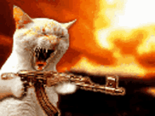 Cat Machine Gun GIF - Cat Machine Gun Guns GIFs