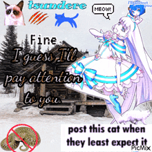 a picture of a girl with a grumpy cat says fine i guess i 'll pay attention to you ..
