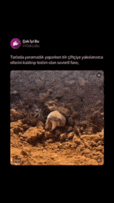 a hamster is standing on its hind legs in the dirt with a twitter post below it