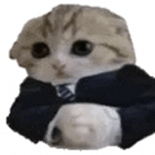 a cat wearing a suit and tie is sitting on a white background .