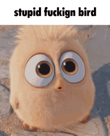 Bird Angry Birds GIF - Bird Angry Birds Stupid GIFs