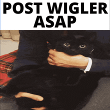Postwiglerasap Wigler GIF - Postwiglerasap Wigler Wiggler GIFs