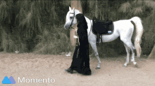 Ekram White Horse GIF - Ekram White Horse Horse GIFs