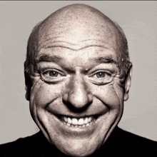 a bald man with freckles on his face is smiling for the camera