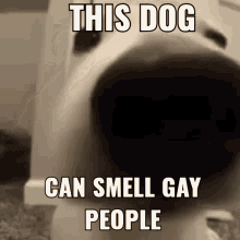 Dog Sniff GIF - Dog Sniff This Dog Sniffs Gay People GIFs