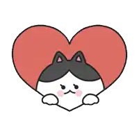a black and white cat is sitting inside of a heart shaped object .