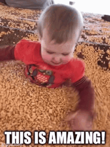 a baby is laying in a pile of corn and the caption says this is amazing