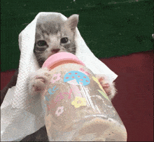 GIF