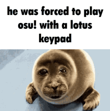 crying seal lotus keypad osu he was forced to play osu with a lotus keypad
