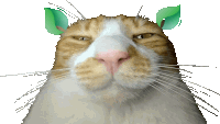 a cat with green leaves on its ears looks at the camera