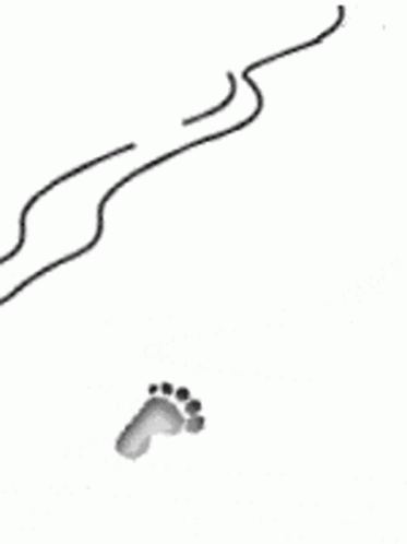 Animated Footprints GIFs | Tenor