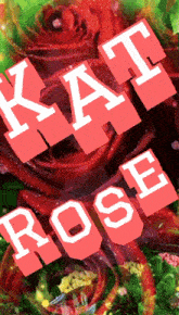 a picture of red roses with kat rose written in white