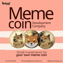 a meme coin development company offers small investments for your meme coin