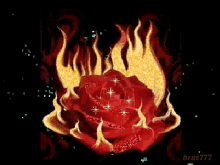 Flower Red GIF