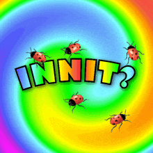 the word innit is on a colorful background