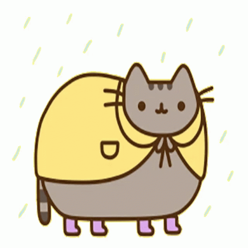 pusheen rain coat