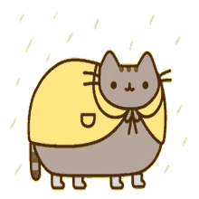 raincoat pusheen