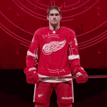 Red Wings Goal Detroit Red Wings Goal GIF - Red Wings Goal Detroit Red Wings Goal Filip Zadina GIFs
