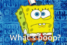 Spongebob Whats Poop GIF