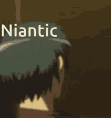Niantic Nitanic GIF - Niantic Nitanic Pokemon GIFs