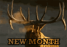 new month elk antlers see breath