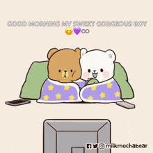 a cartoon of two teddy bears laying next to each other with the caption good morning my sweet gorgeous boy