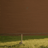 a man in a suit is walking in the grass with a dog