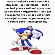 Sonic I Care GIF - Sonic I Care I Asked GIFs